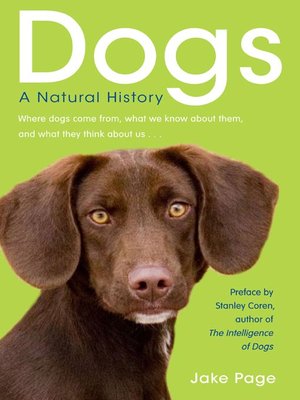 Dogs - ebook